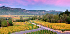 Nappa Valley