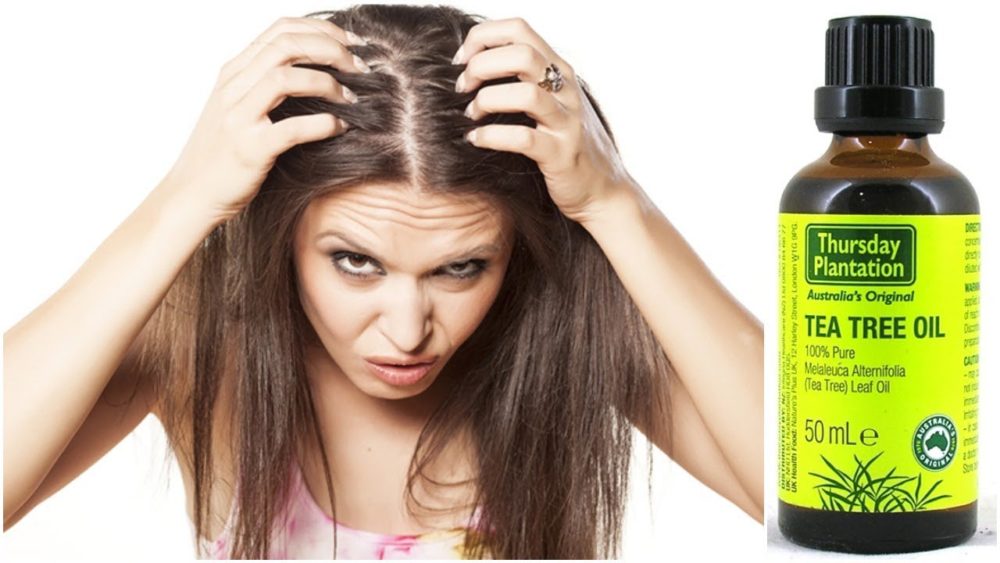 Tea-tree-oil-for-hair