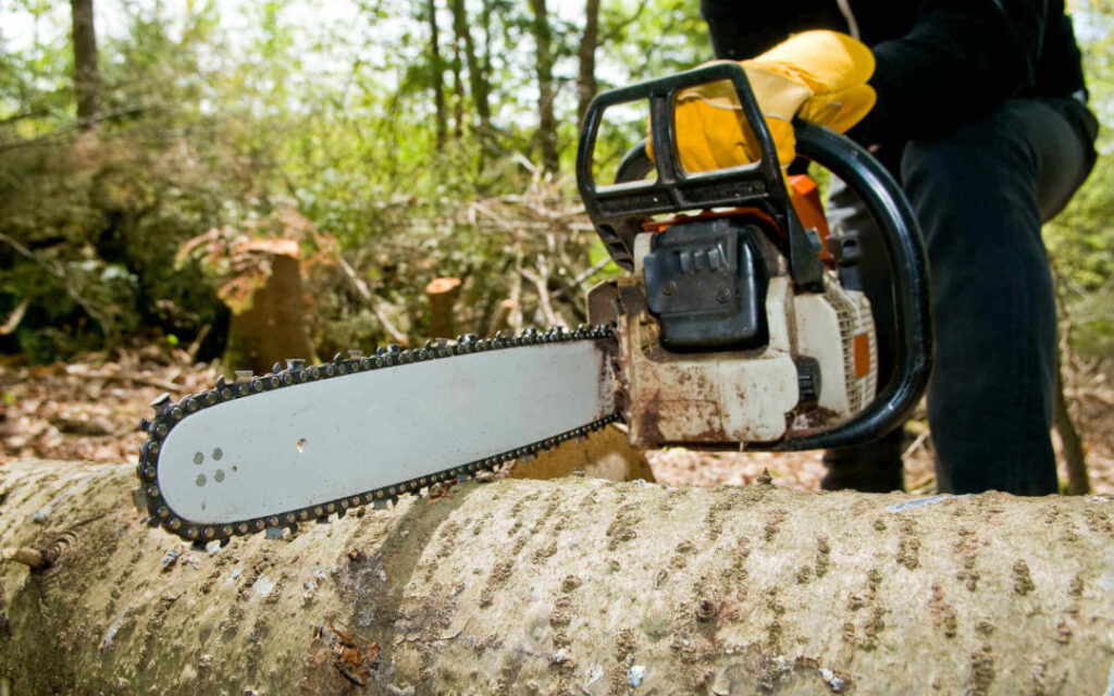 Professional-Tree-Removal-Service