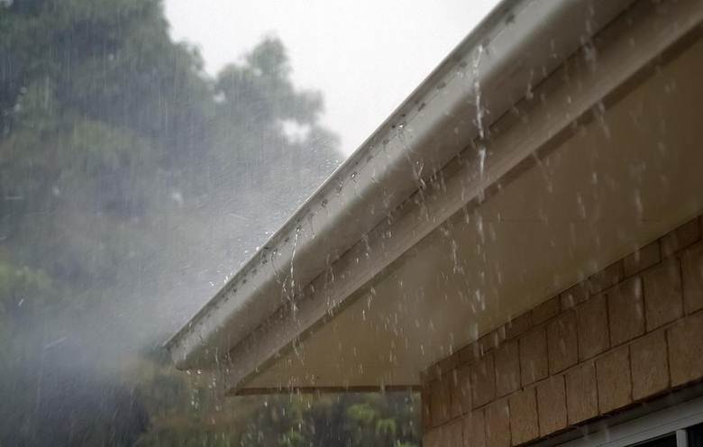 gutter service