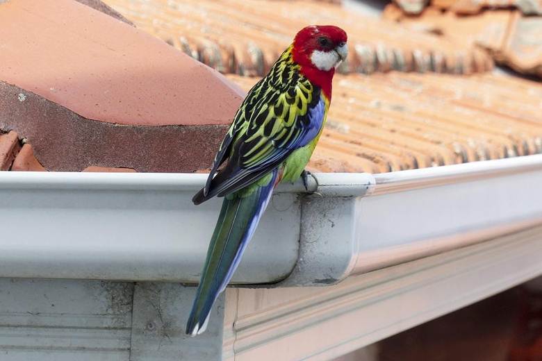 Gutter-Installation services