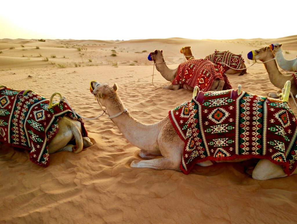 Morocco Desert tour