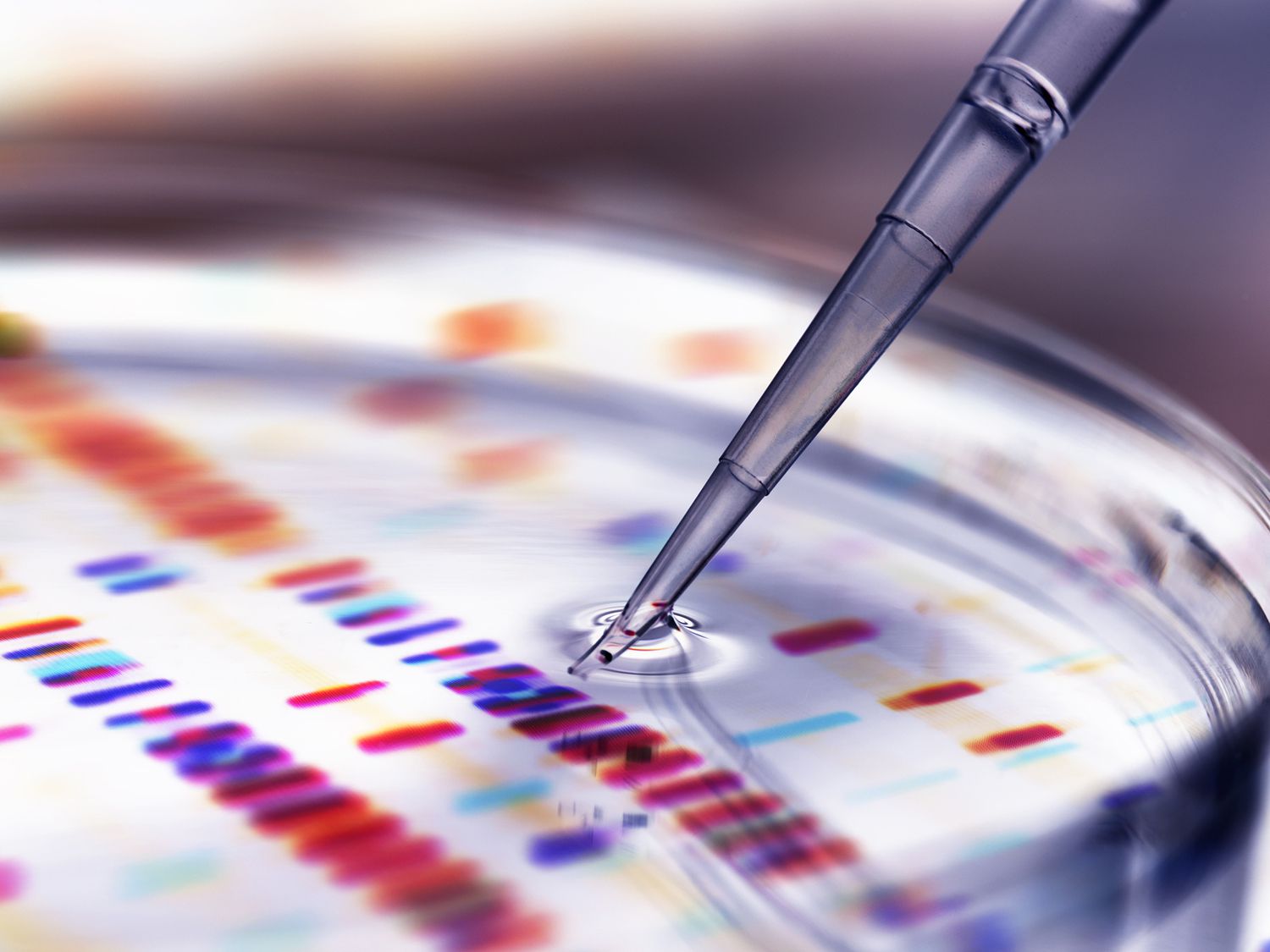 Exploring The Future Of Biotechnology: The Benefits And Risks Of Investing In Biotech Stocks