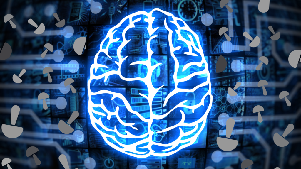 Psilocybin And Brain Connectivity: Unveiling The Impact On Mental Health Through Neuroimaging Studies